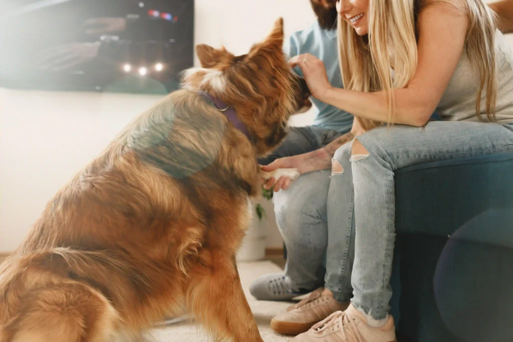 mascotas en comunidades de vecinos